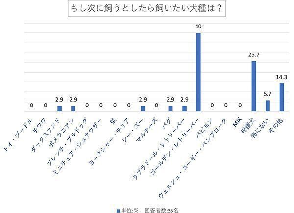 もし次に飼うとしたら飼いたい犬種は？