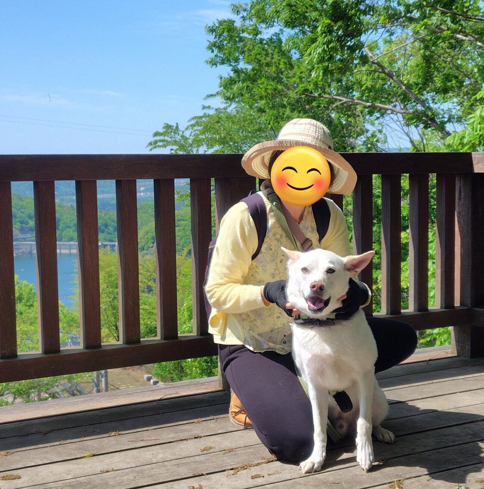 楽しそうなクーちゃん