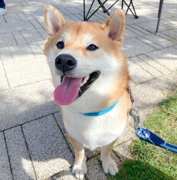 笑顔のじろちゃん