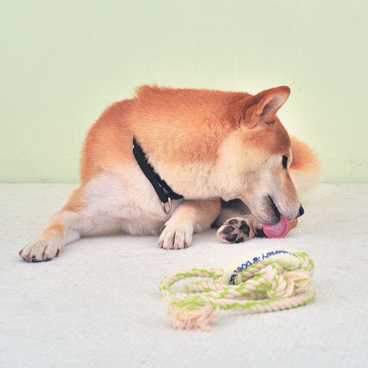 「こっち見てよ～」