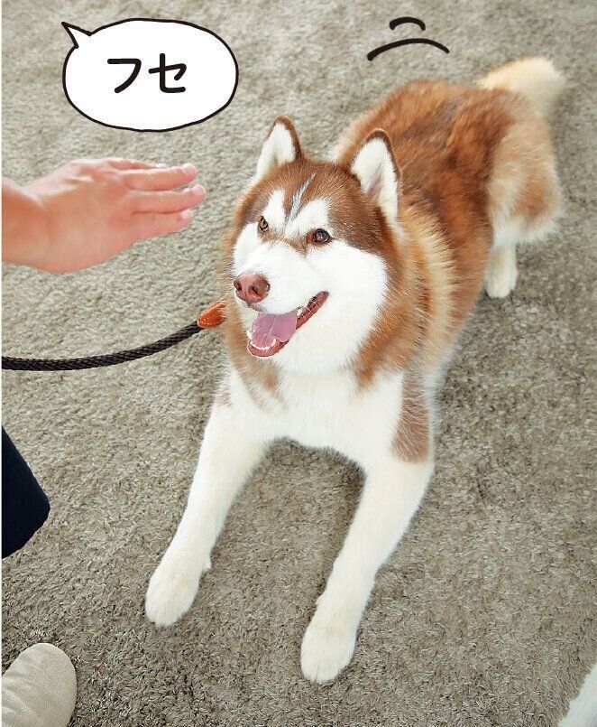 撮影／尾﨑たまき