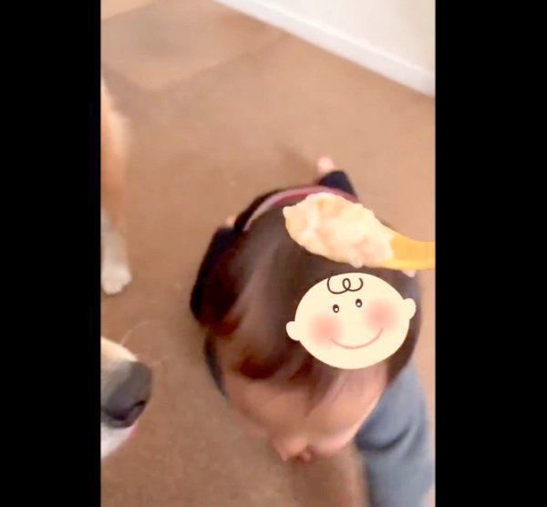 高速ハイハイで戻ってきた弟くん