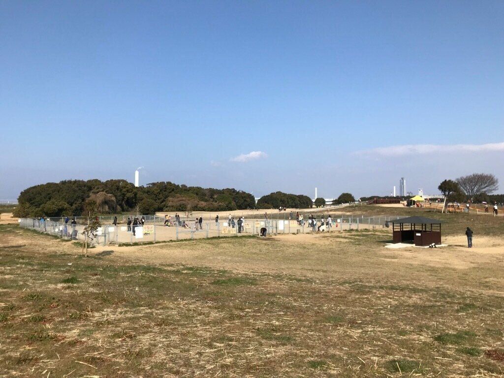 公園のなかにあるドッグラン