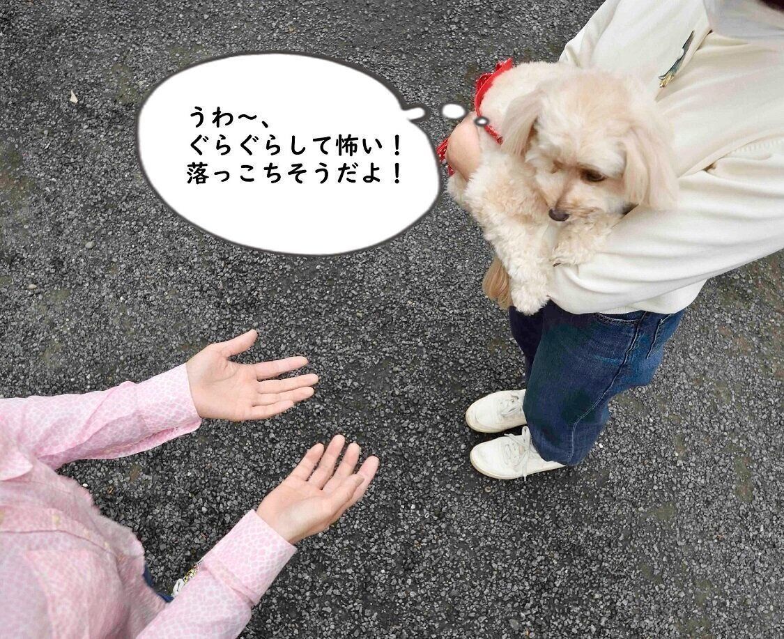 ぐらぐらして怖い！落ちそう！と思っているのかも。（撮影／佐藤正之）