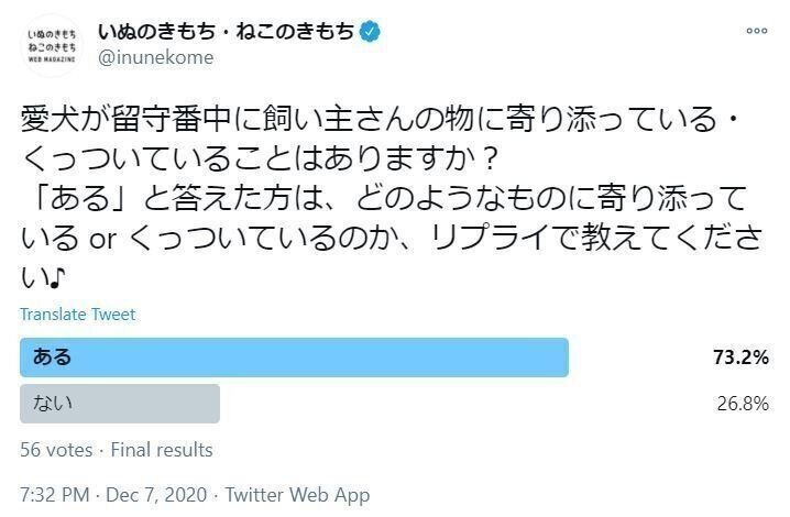 留守番中愛犬は何にくっつくかに関するアンケート