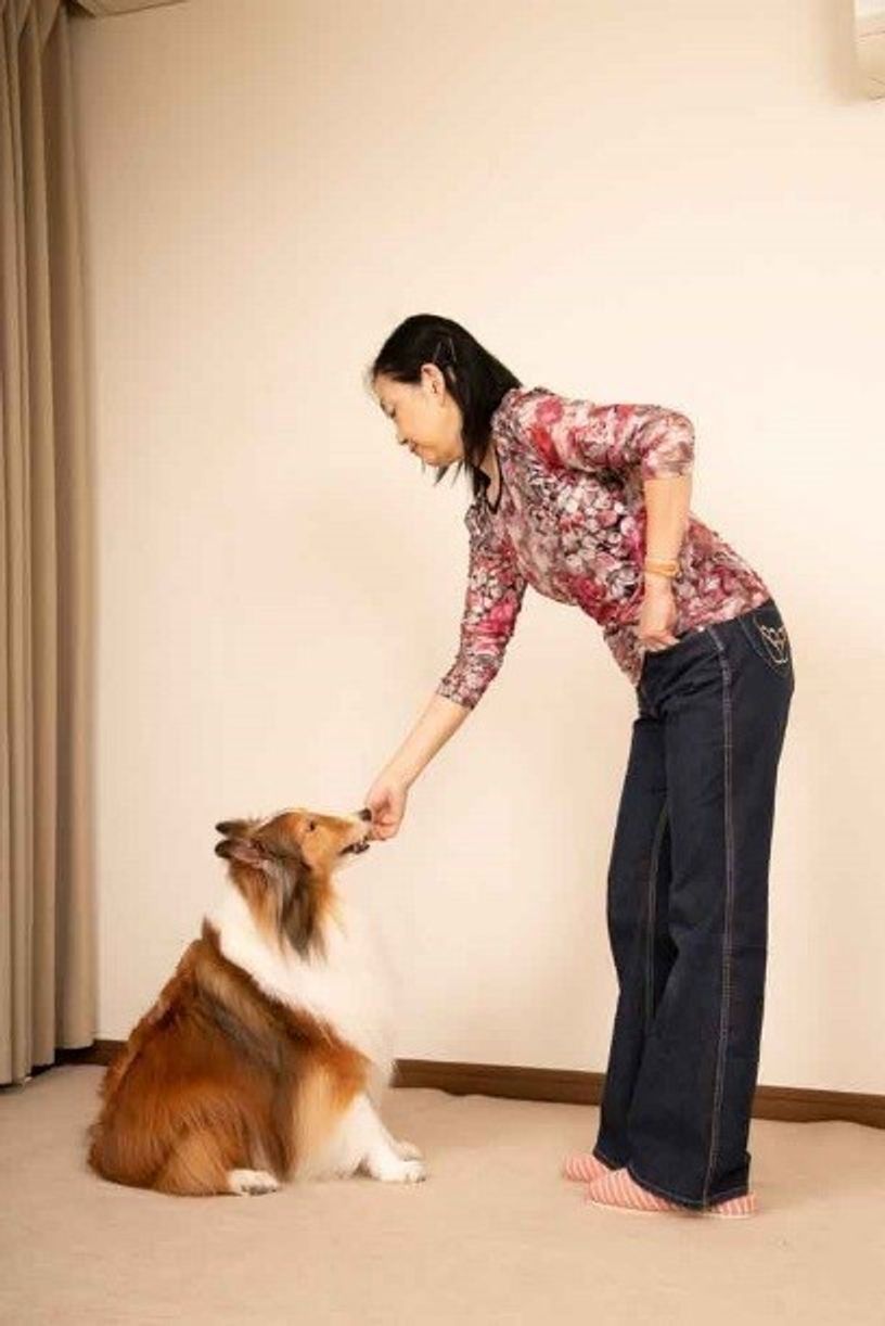 動画あり 愛犬との アイコンタクト トレーニング 吠えない犬にしよう いぬのきもちweb Magazine 動画あり 愛犬との アイコンタクト トレーニング 吠えない犬にしよう いぬのきもちweb Magazine
