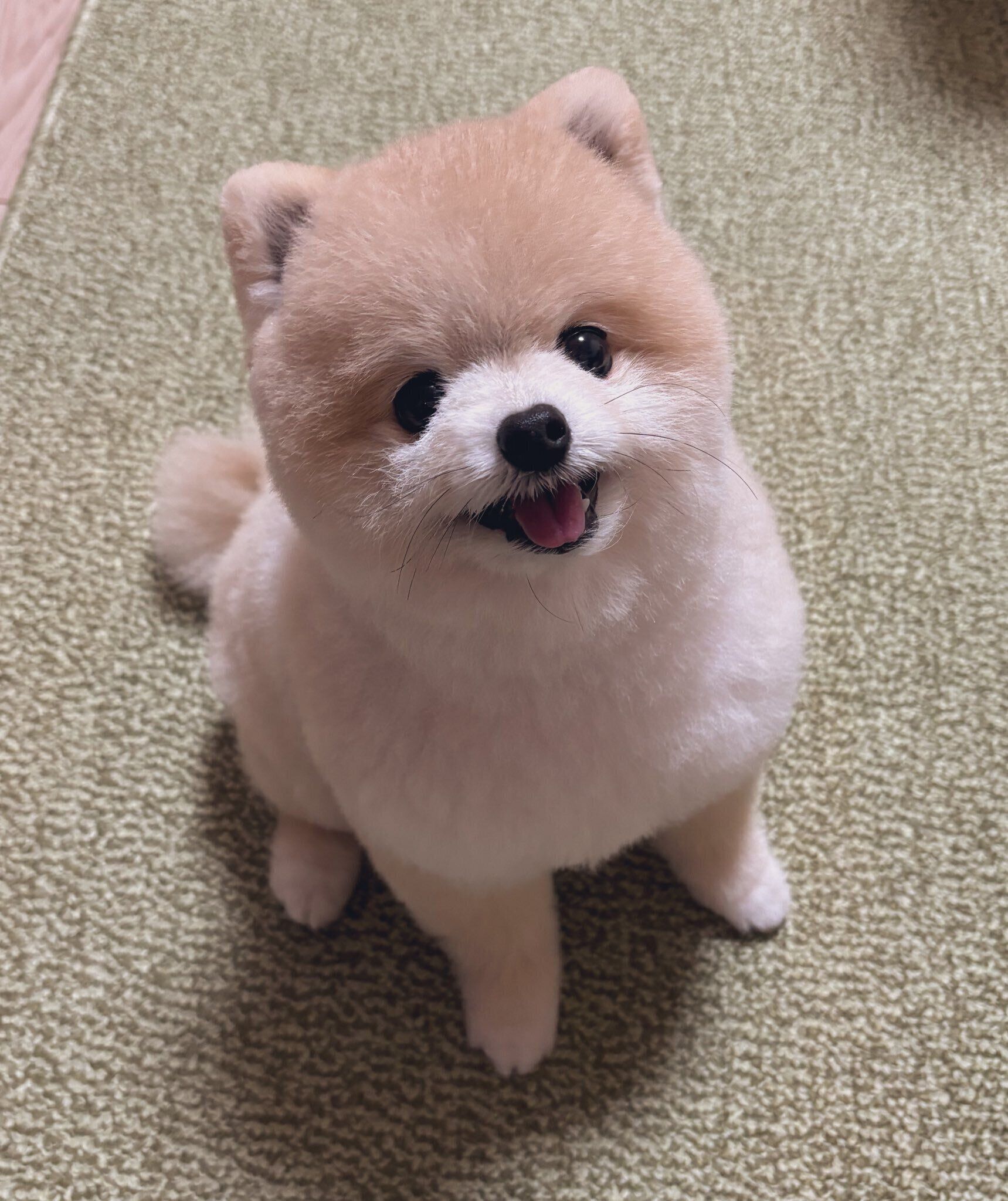 笑顔を見せるぬーくん