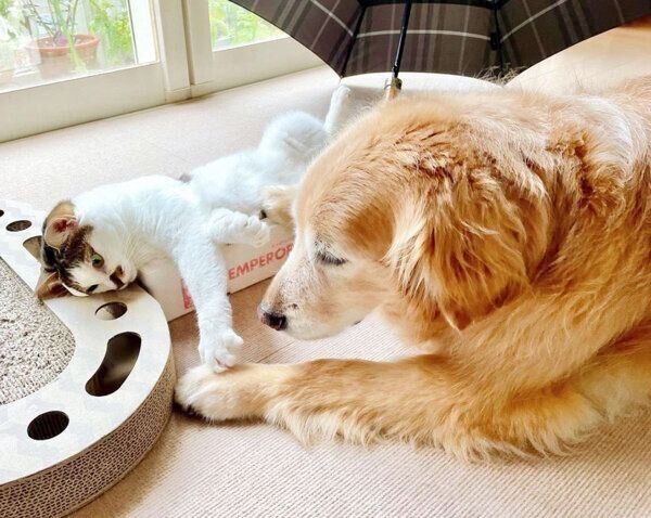 仲良しな小麦ちゃん、豆ちゃん