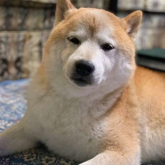 介護疲れにならないために