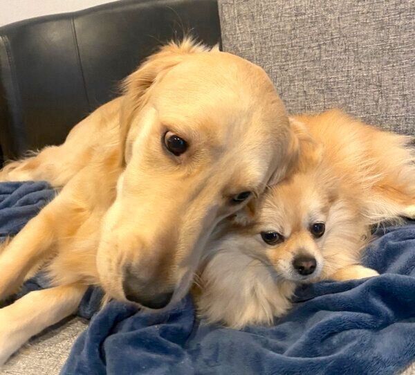 寄り添うぽん吉くんとらん丸くん