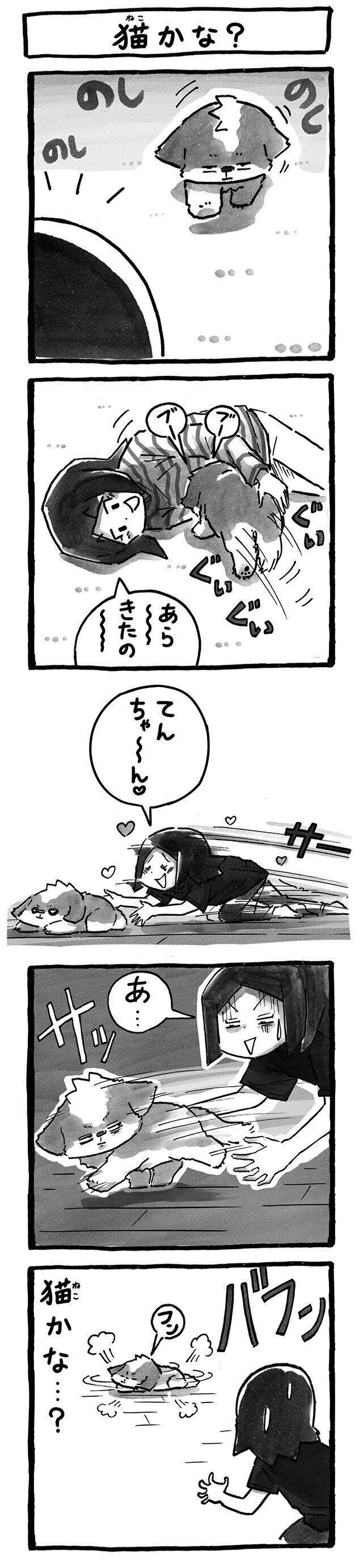 ーズー犬マンガてんぽshihtzu