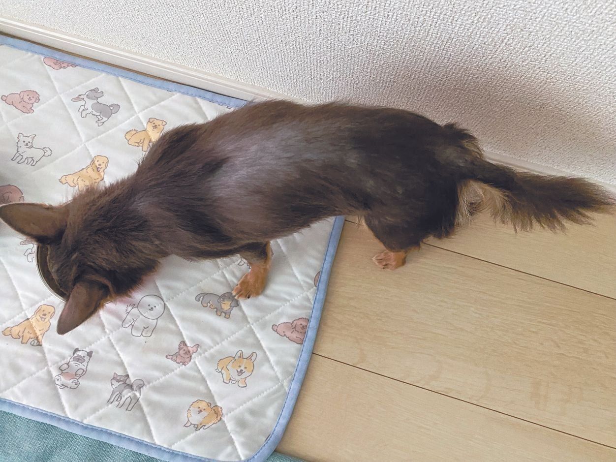 全身をチェック