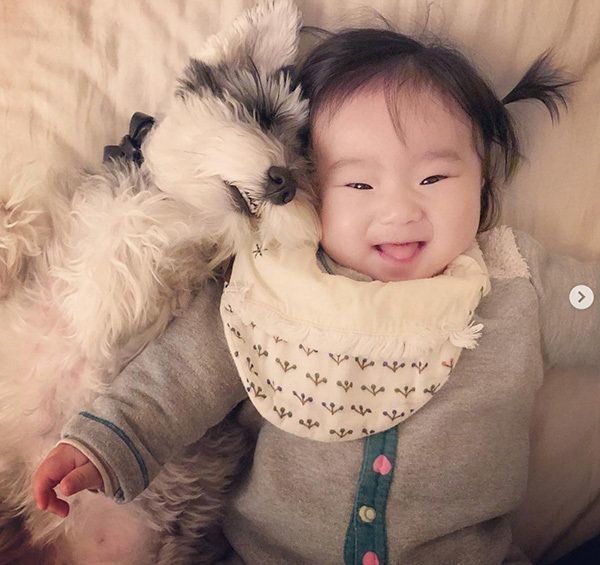 赤ちゃんと寄り添うミニチュア・シュナウザー