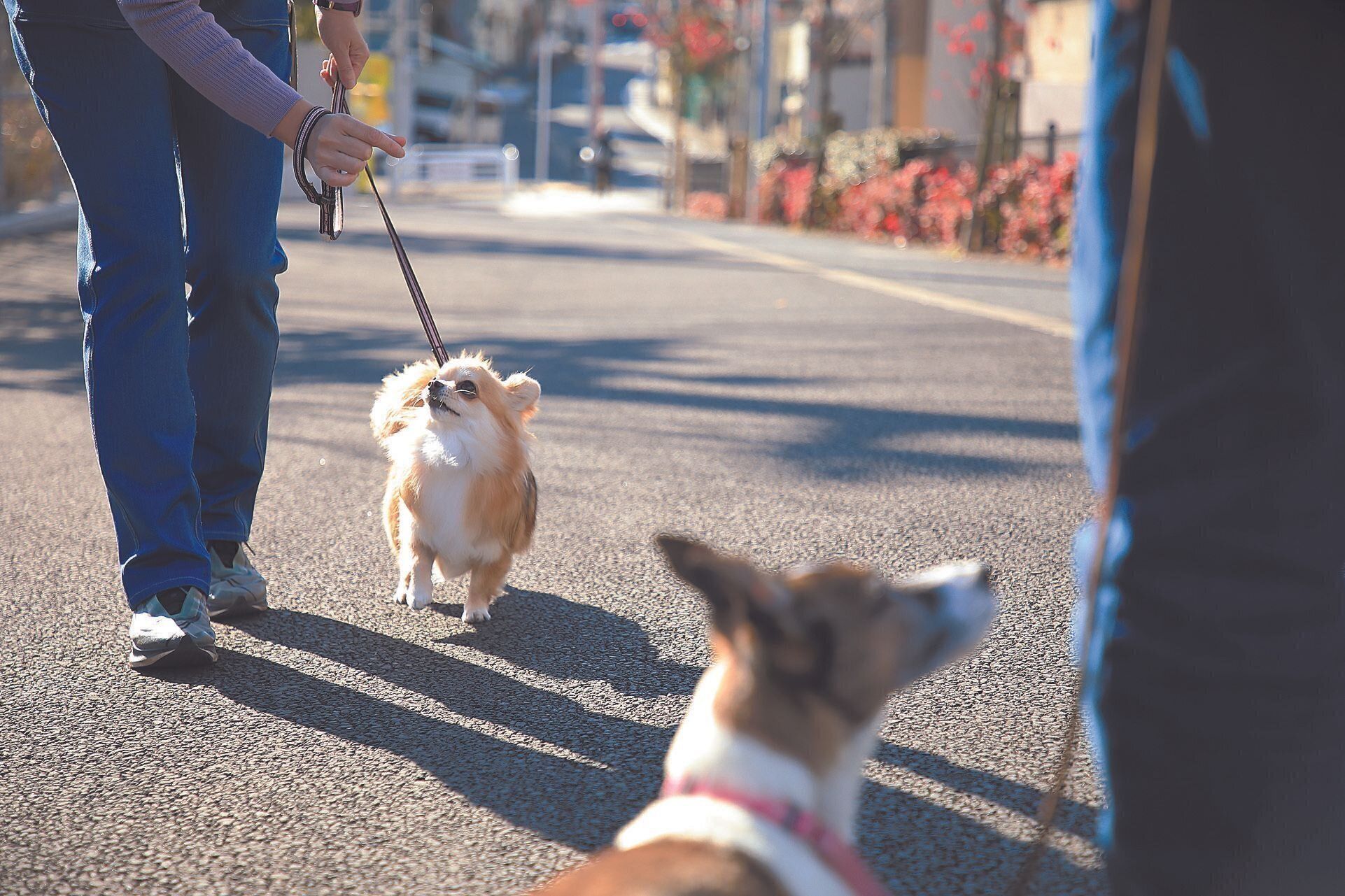 撮影／尾﨑たまき