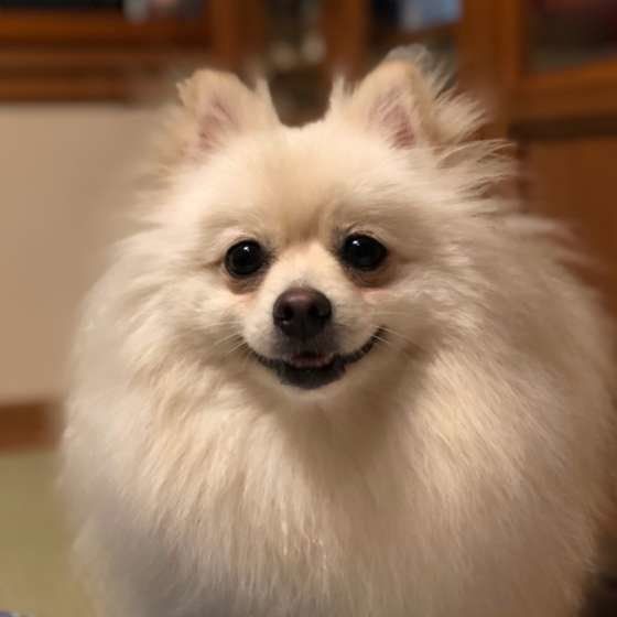 笑顔のハッピーくん