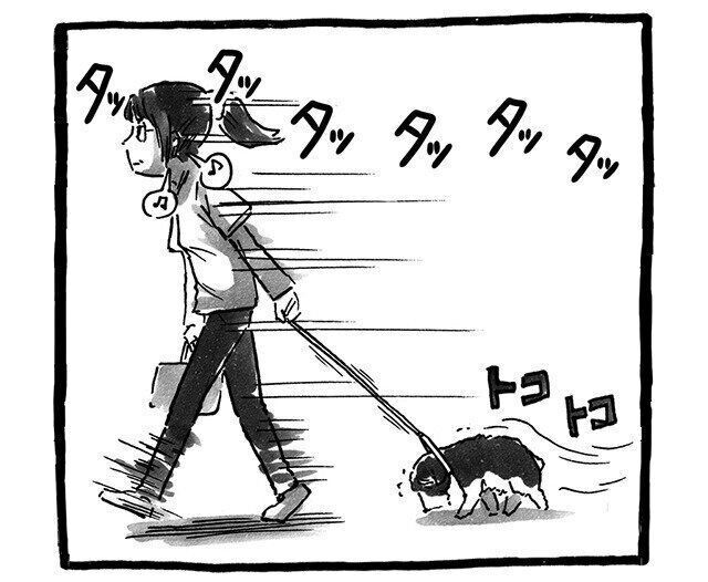 シーズー犬マンガてんぽshihtzu