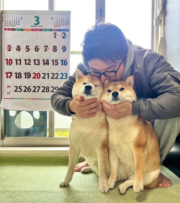 パパさんと写真を撮るむぎくん、わらびちゃん