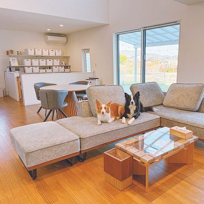 リビングの奥にあるのが愛犬スペース。「犬も家族も、お互いの存在を感じながら過ごすことができます」
