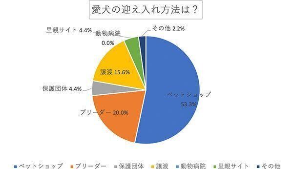 愛犬の迎え入れ方法は?