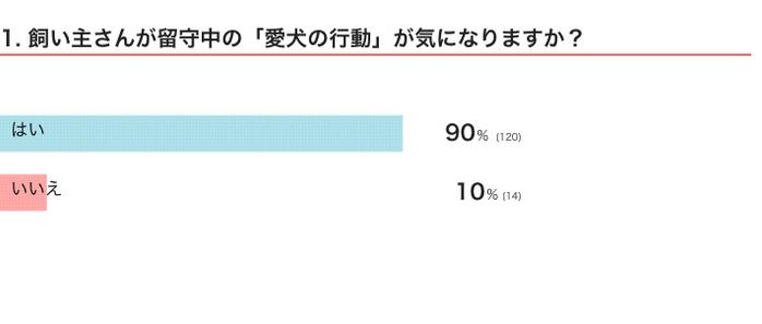 飼い主さんが留守中の愛犬の行動が気になる?