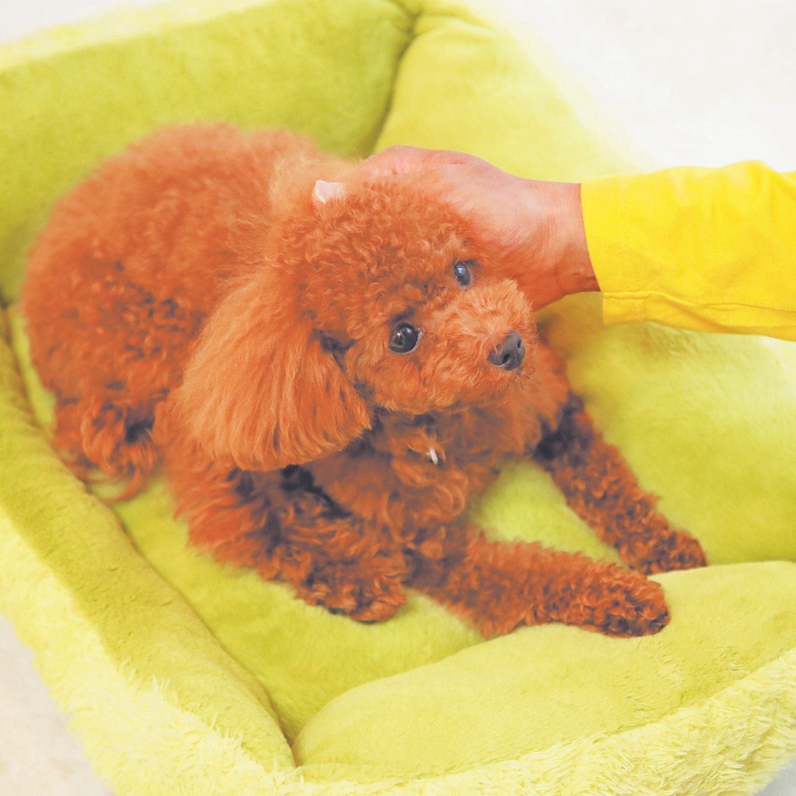 撮影／尾﨑たまき