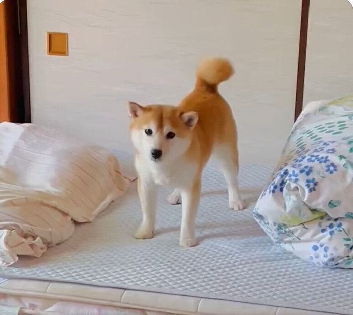 起きあがるまりちゃん