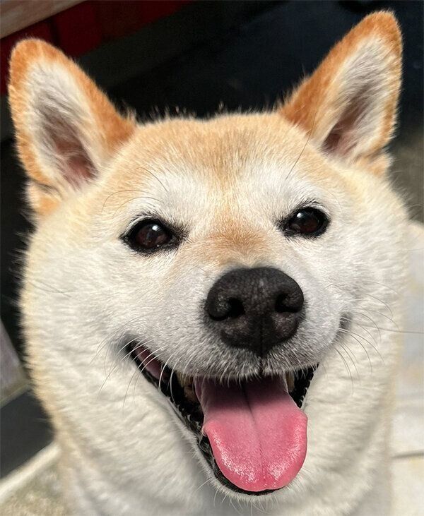 笑顔のゆめちゃん