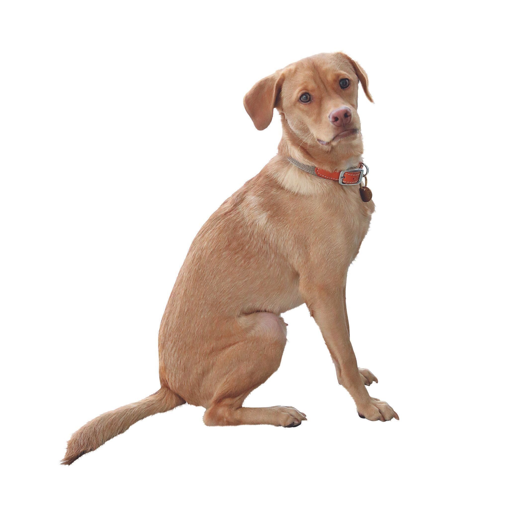 撮影／尾﨑たまき