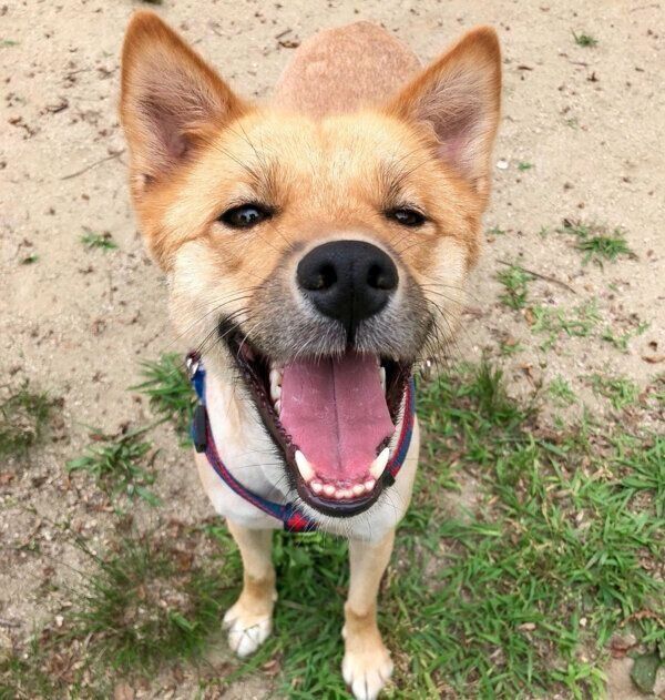 笑顔のむぎちゃん