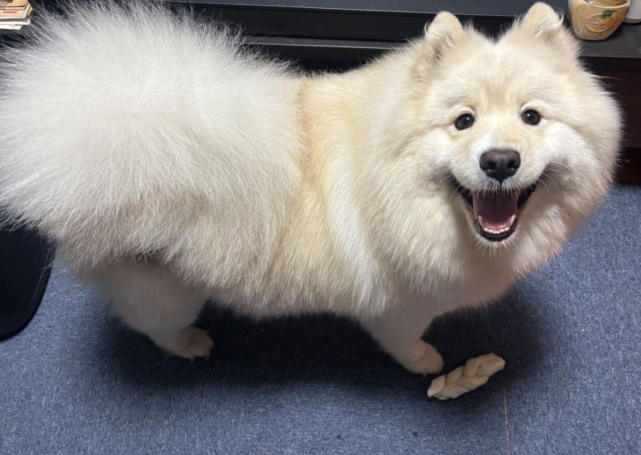 ニコニコ顔のおもちちゃん