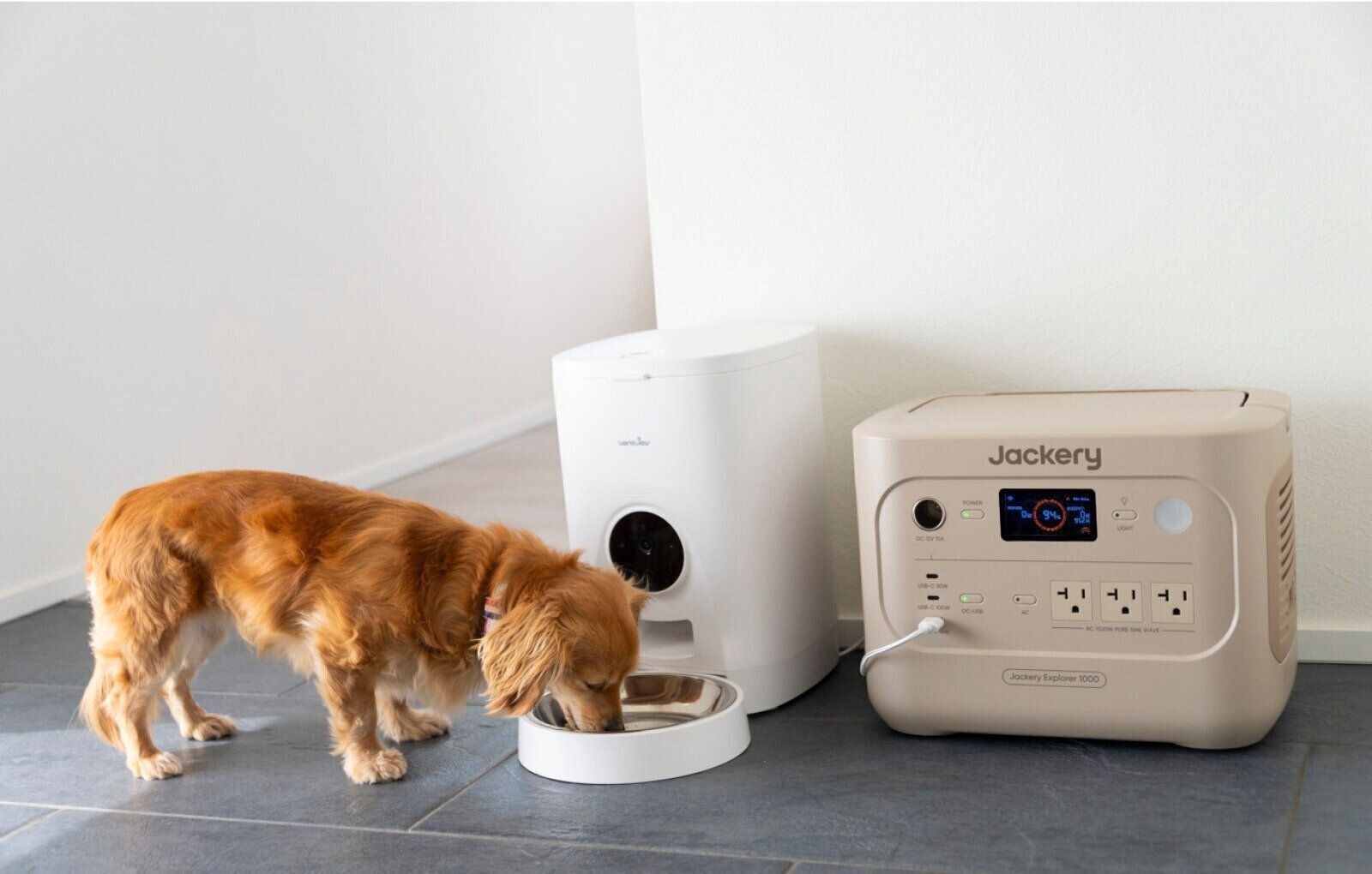 Jackery Japan　ジャクリ　ポータブル電源　犬　在宅避難　自宅避難　キャンプ　アウトドア　ソーラーパネル