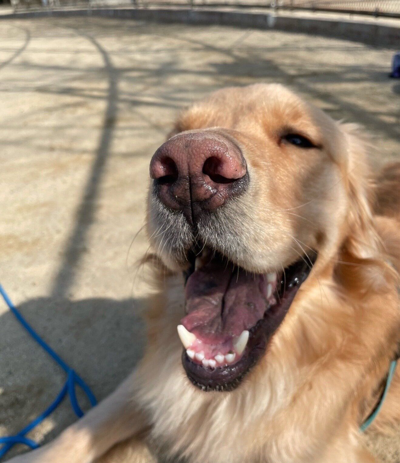 楽しそうなセナくん