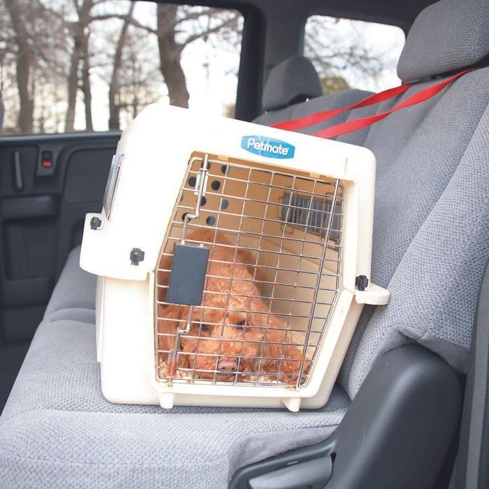 クレートを後部席の上にのせる場合は、シートベルトなどでクレートを留めて、床に落ちないようにしましょう