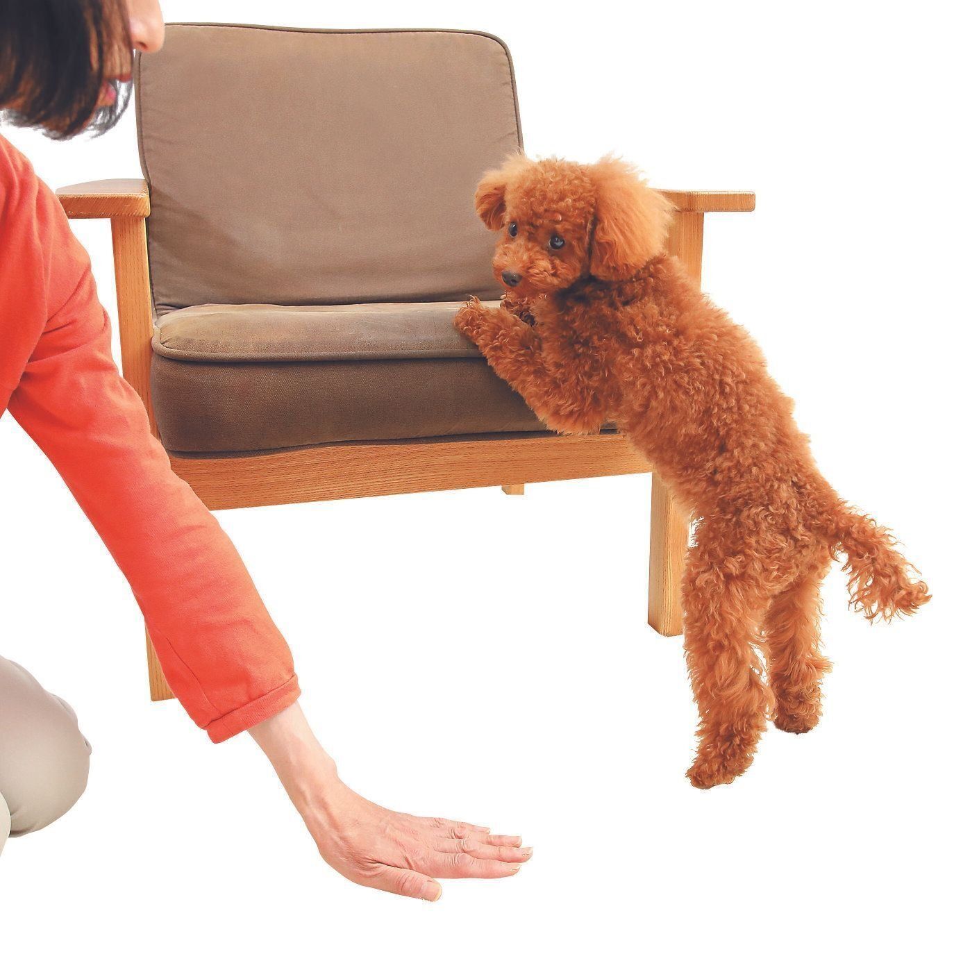 「ここはのぼれない場所」とすぐに伝えましょう