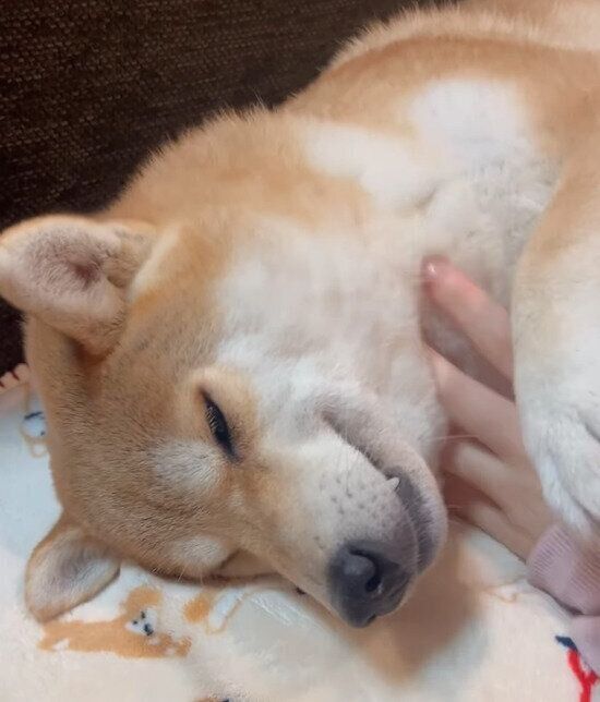 嬉しそうなユクちゃん