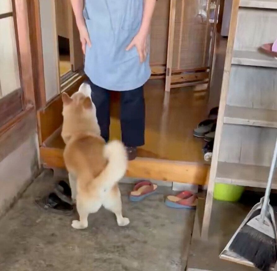 ばぁばに会えて喜ぶ福丸くん