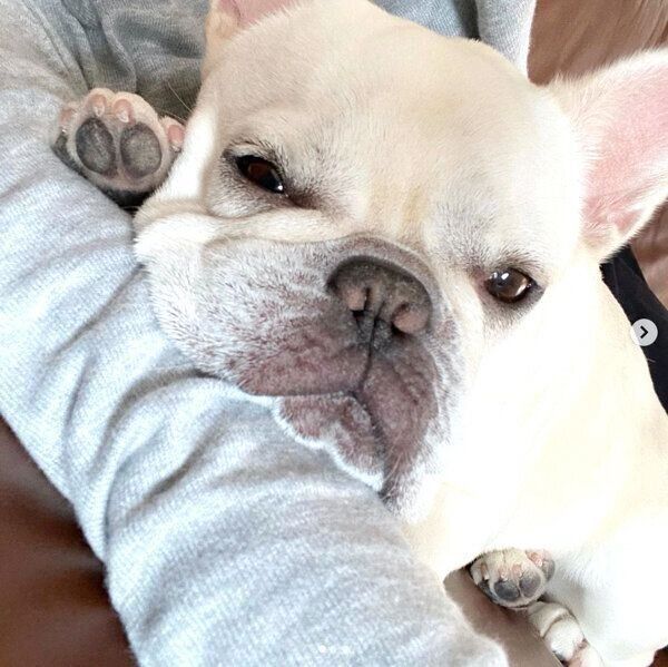 くつろぐひまわりちゃん