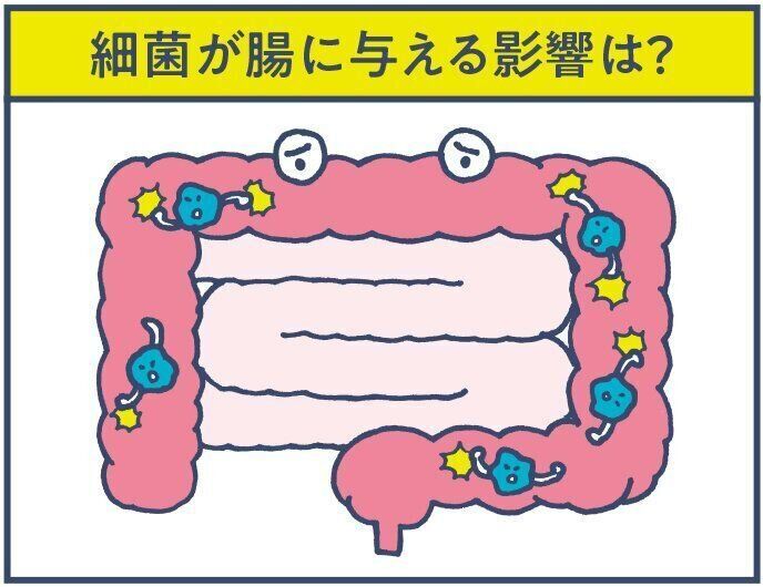 大腸内に悪い菌が繁殖すると、腸の機能が低下して下痢ぎみに。脱水症状を起こすことも