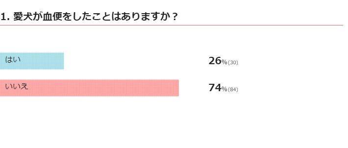 愛犬が血便をしたことはありますか？