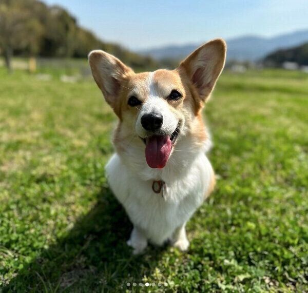 笑顔が可愛いリコちゃん