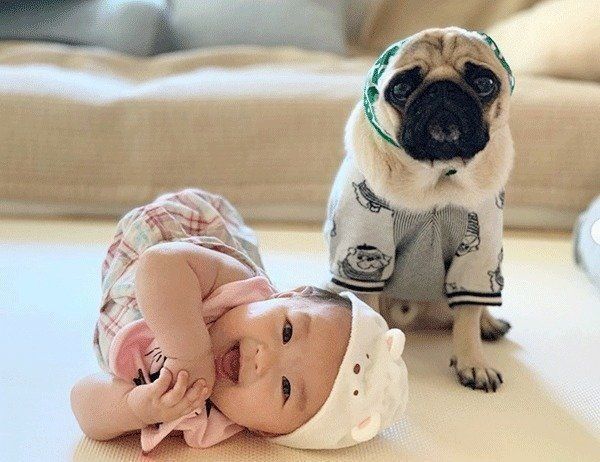 妹ちゃんとぱぐぞうくん