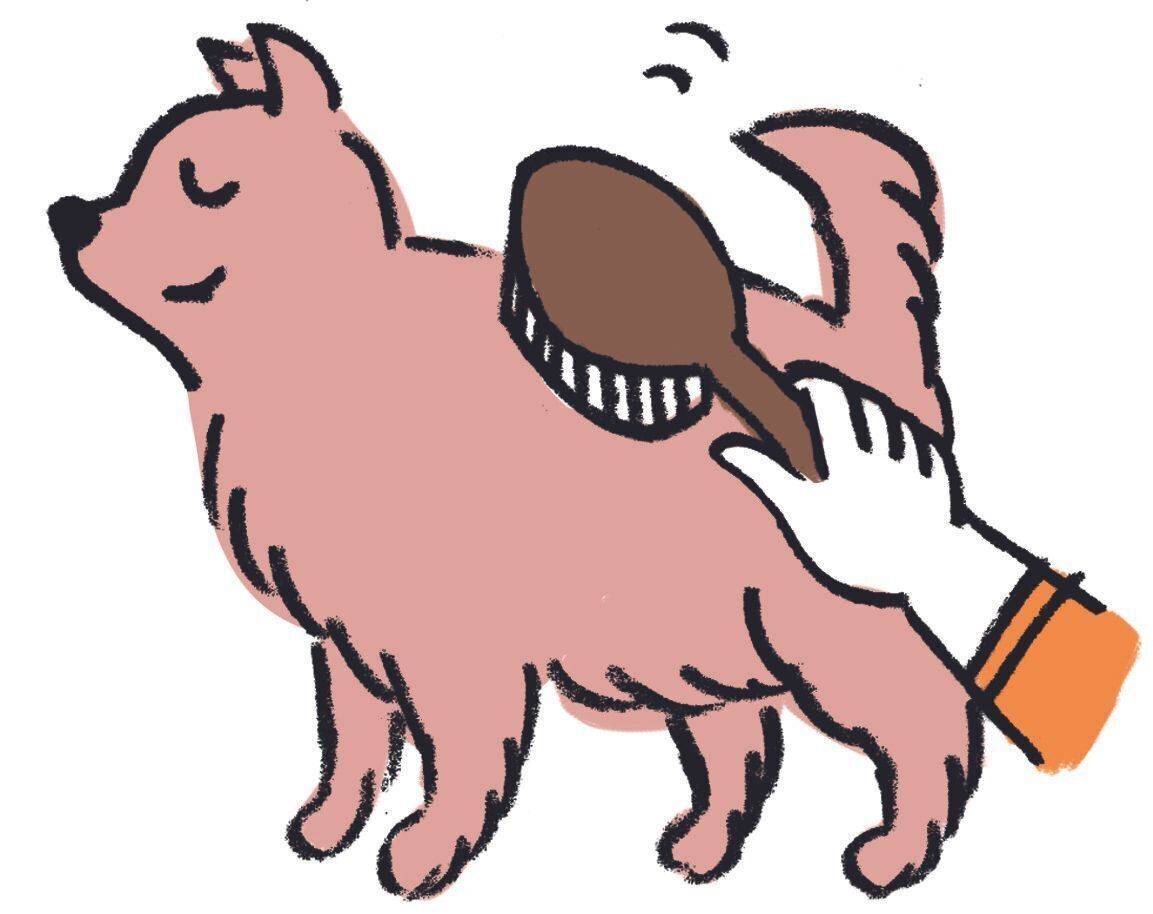 イラスト／オガワナホ