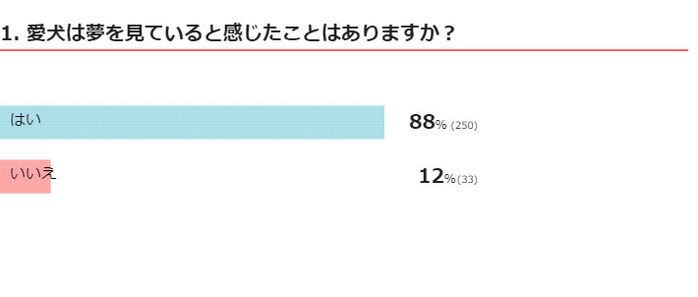 愛犬は夢を見ていると感じたことはありますか?