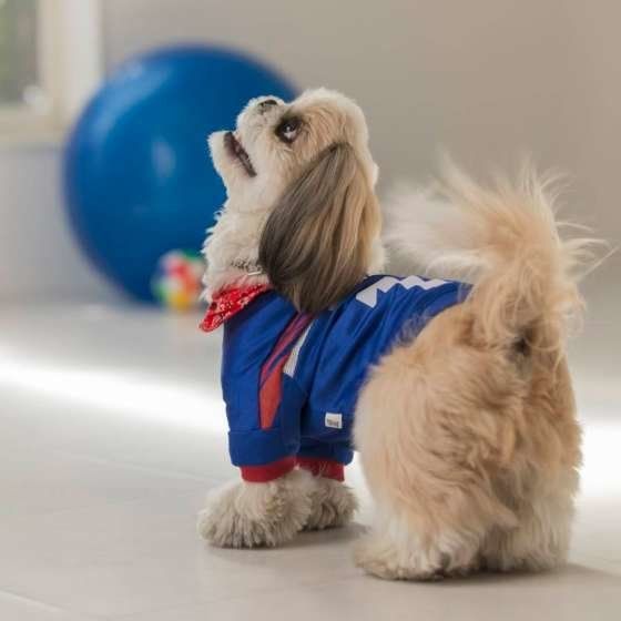 散歩大好き♡ポチャッコくん