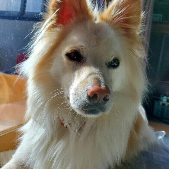 くつろいでいるルークちゃん