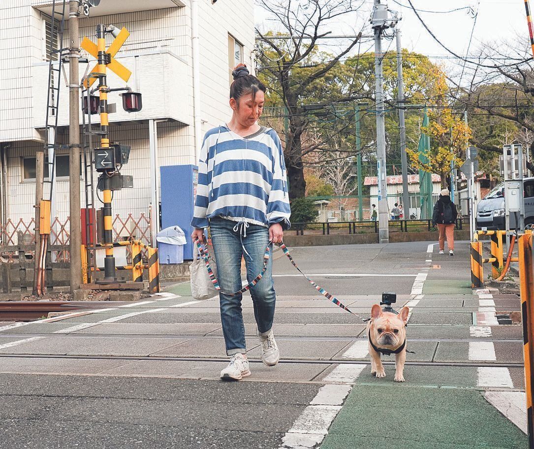 撮影／殿村忠博