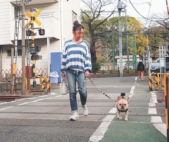 撮影/殿村忠博