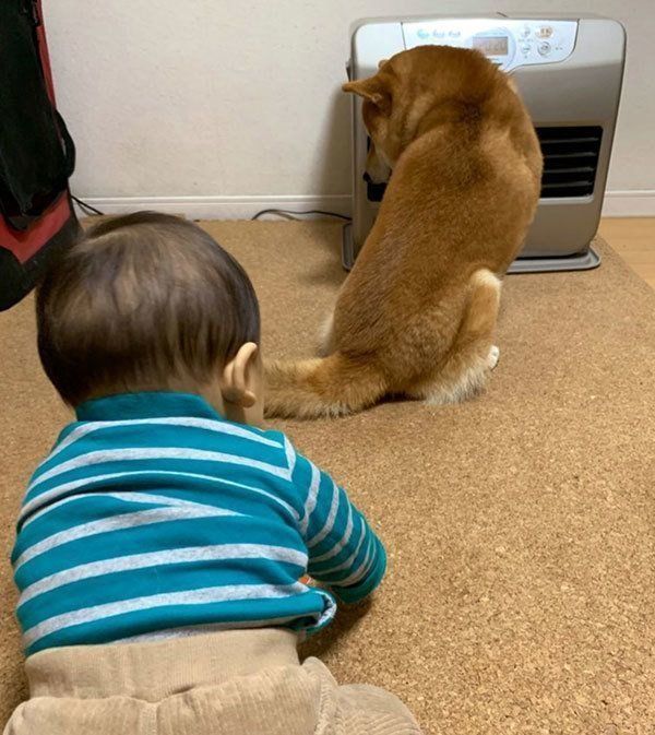 ストーブで暖まるこたろうくんと、かまってほしい弟くん