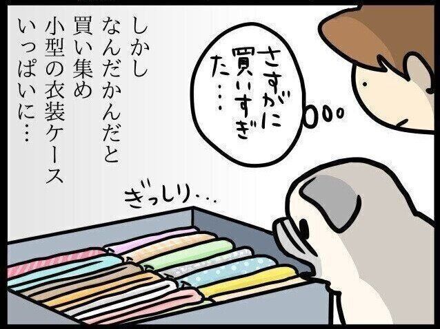【連載】パグ犬・めーvol.75