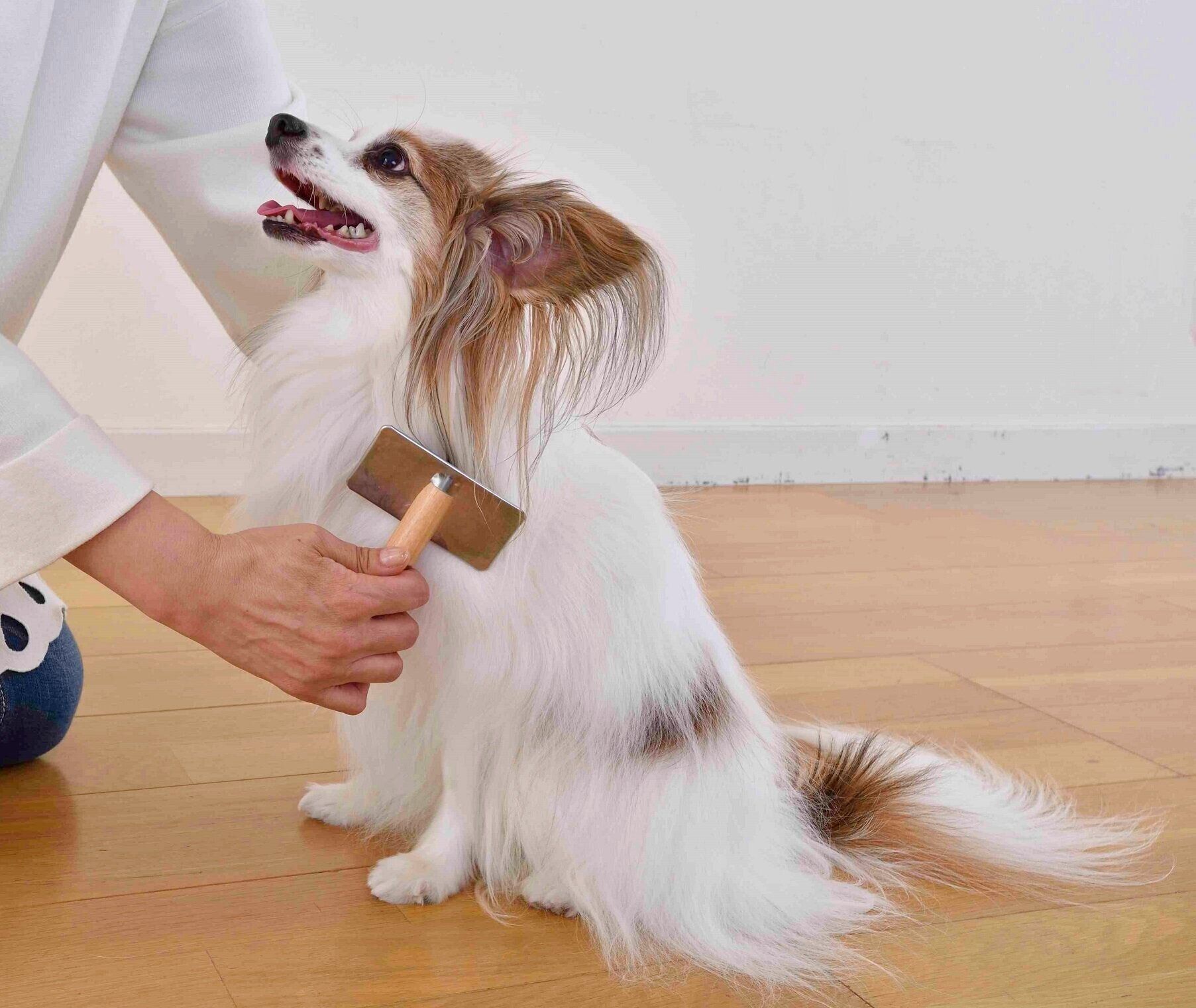 まずは肩や背中からお手入れすると〇。（撮影／佐藤正之）